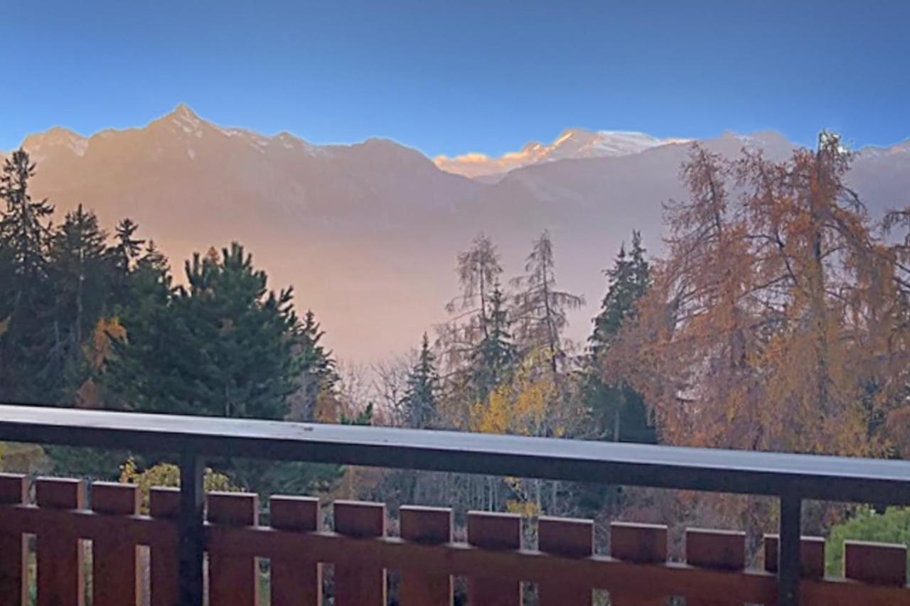 Les Mayens De L'Ours - At The Foot Of Piste De L'Ours' Slope! Agettes Экстерьер фото